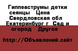 Гиппеаструмы детки сеянцы › Цена ­ 150 - Свердловская обл., Екатеринбург г. Сад и огород » Другое   